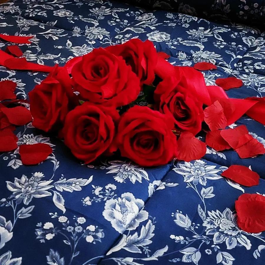 Roxy Bellavista Daire Cogna Dış mekan fotoğraf
